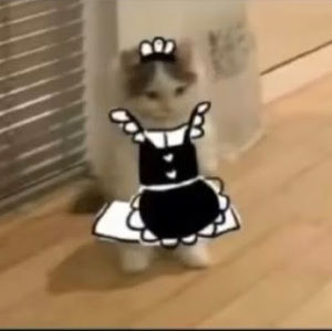 Meet your Posher, Im just